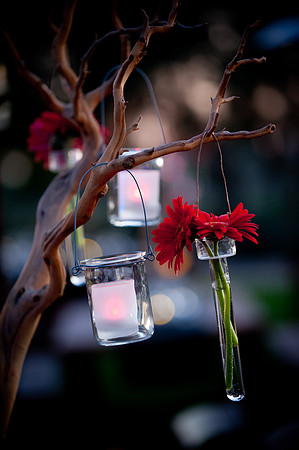 43_Decor_WestinKierland