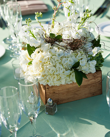 51_Decor_DesertBotanicalGarden