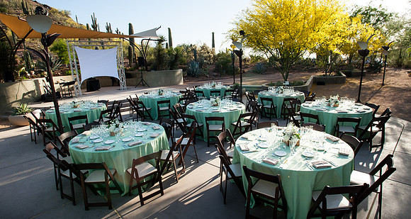 52_Decor_DesertBotanicalGarden